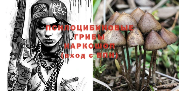 прущая мука Богородицк