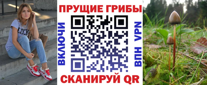 Галлюциногенные грибы GOLDEN TEACHER  купить закладку  Демидов 